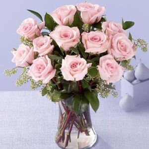 Dozen Pink Roses — Florist in Birtinya, QLD