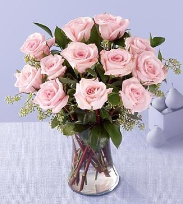 Dozen Pink Roses — Florist in Birtinya, QLD