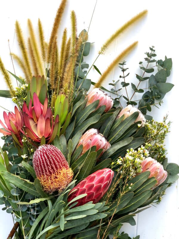 Native Flowers — Florist in Birtinya, QLD