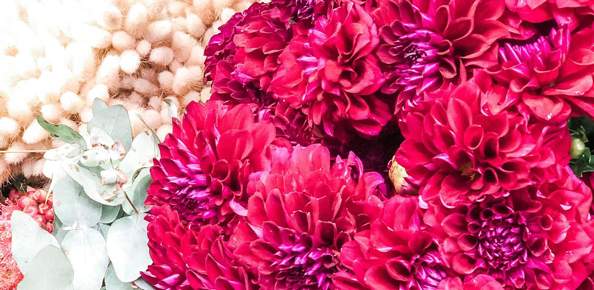 Elegant and Colourful Flowers — Florist in Birtinya, QLD