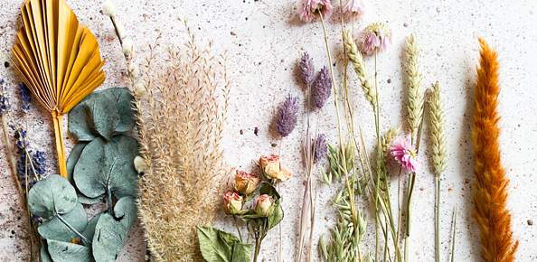 Dried Flowers — Florist in Birtinya, QLD