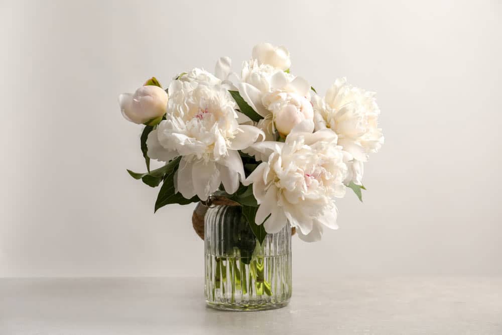 White Flowers In The Vase With Water