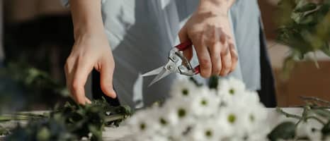 Florist-Holding-Scissor