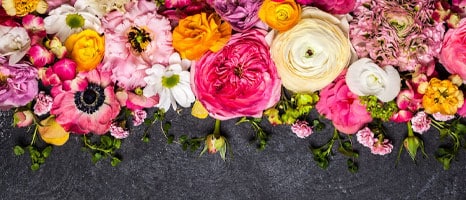 Various-Flowers