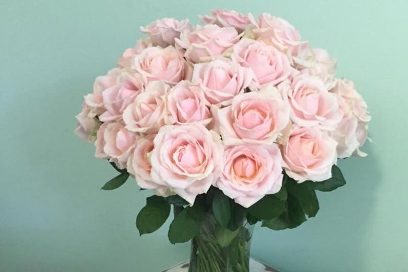 Pink Roses — Florist in Birtinya, QLD