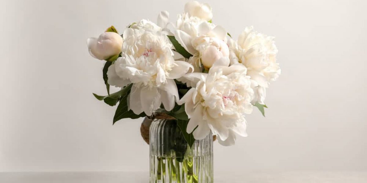 White Flowers In The Vase With Water