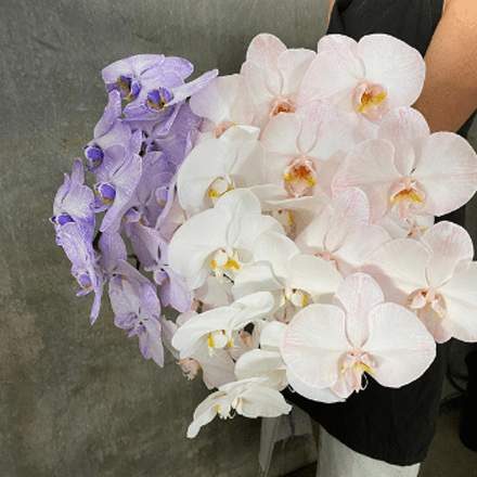 Orchids — Florist in Birtinya, QLD