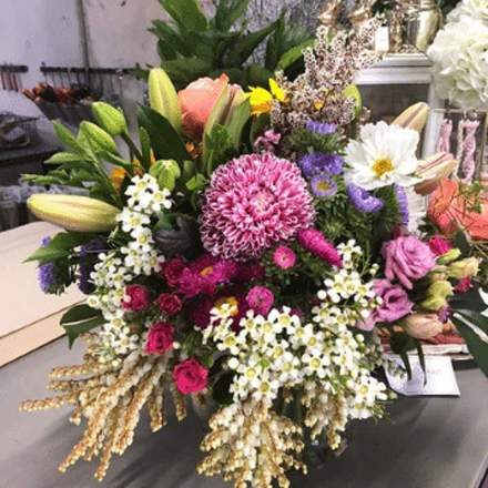Carnations — Florist in Birtinya, QLD