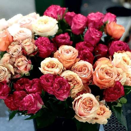 Bucket of Roses — Florist in Birtinya, QLD